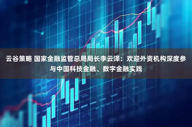 云谷策略 国家金融监管总局局长李云泽：欢迎外资机构深度参与中国科技金融、数字金融实践