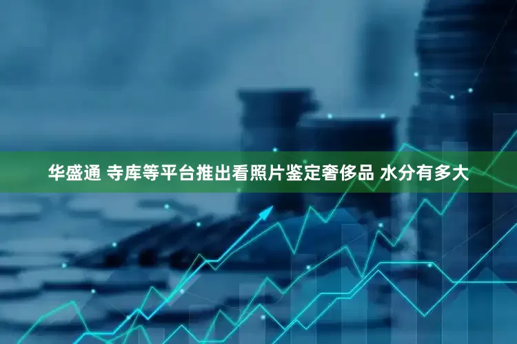 华盛通 寺库等平台推出看照片鉴定奢侈品 水分有多大