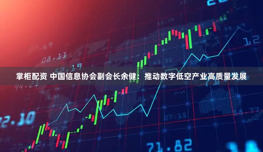 掌柜配资 中国信息协会副会长余健：推动数字低空产业高质量发展
