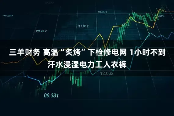 三羊财务 高温“炙烤”下检修电网 1小时不到汗水浸湿电力工人衣裤