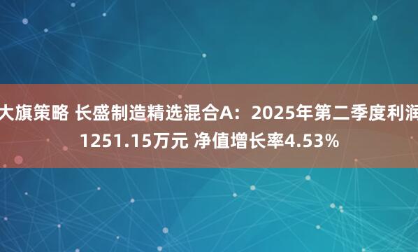大旗策略 长盛制造精选混合A：2025年第二季度利润1251.15万元 净值增长率4.53%