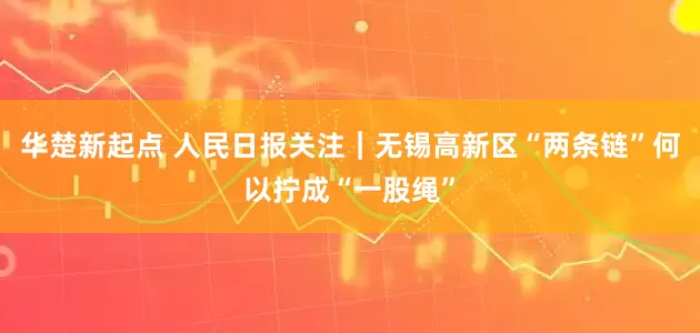 华楚新起点 人民日报关注｜无锡高新区“两条链”何以拧成“一股绳”
